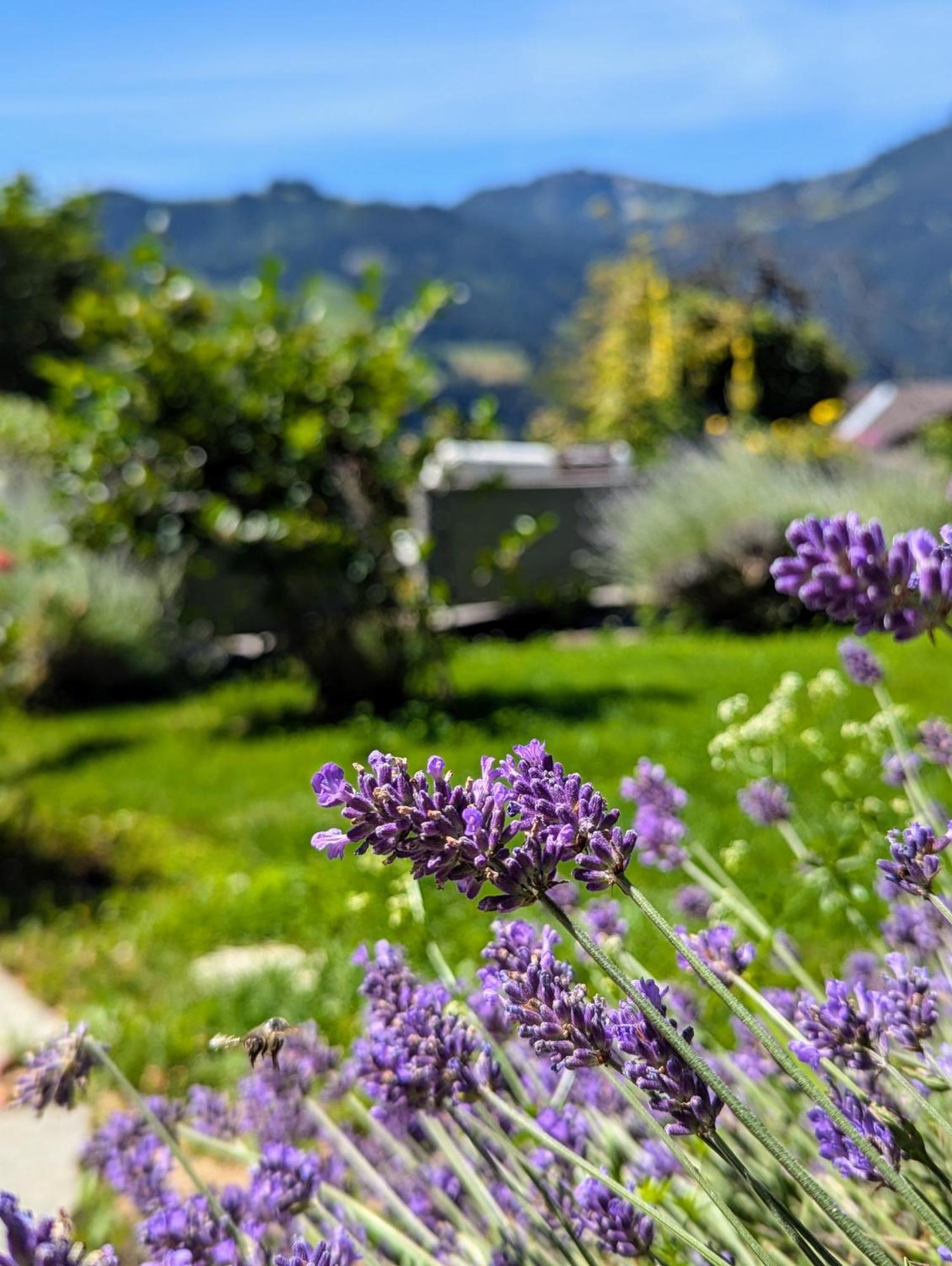 Swiss Mountain-Valley View Lodge Erlenbach im Simmental Esterno foto
