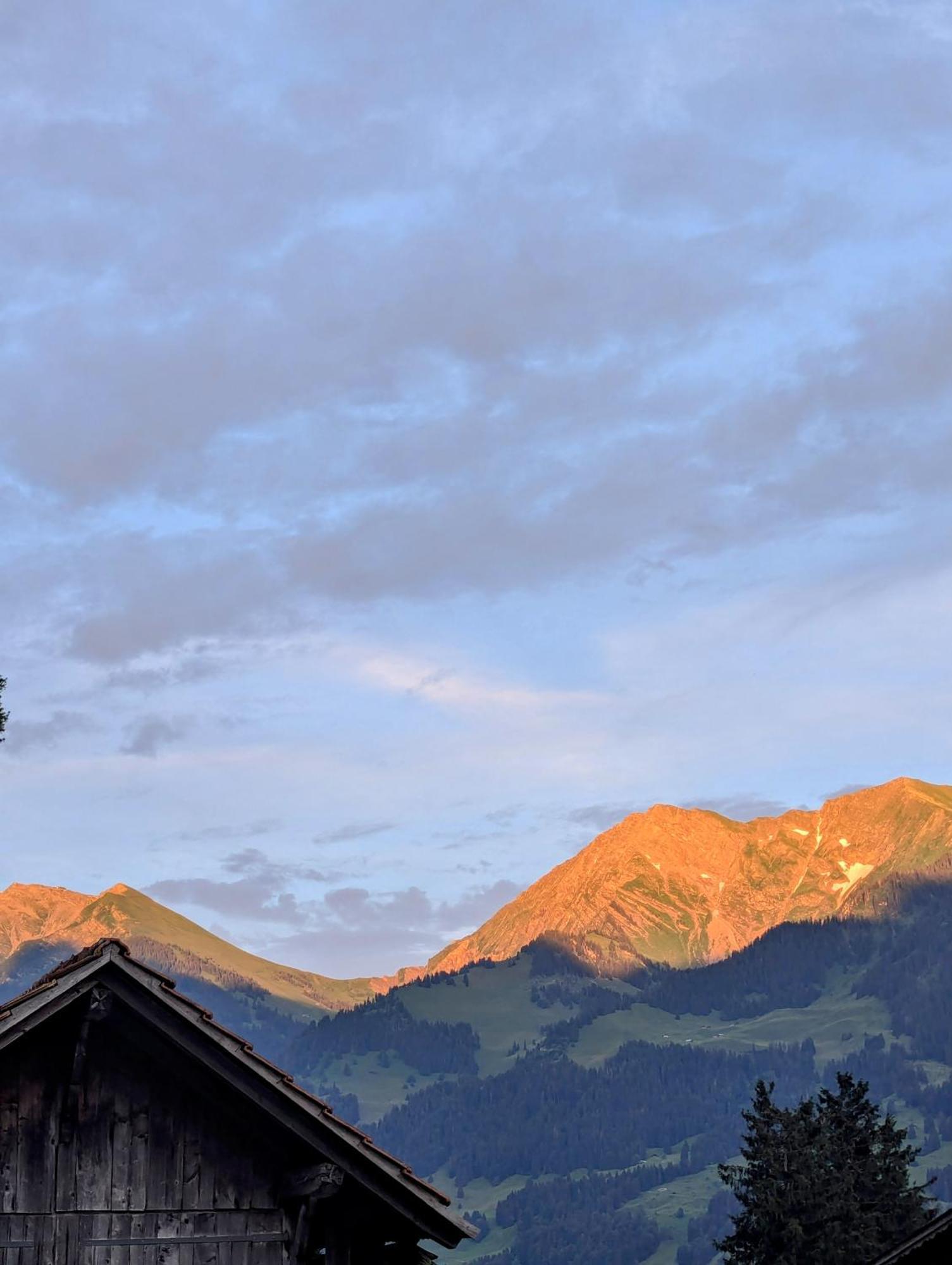 Swiss Mountain-Valley View Lodge Erlenbach im Simmental Esterno foto