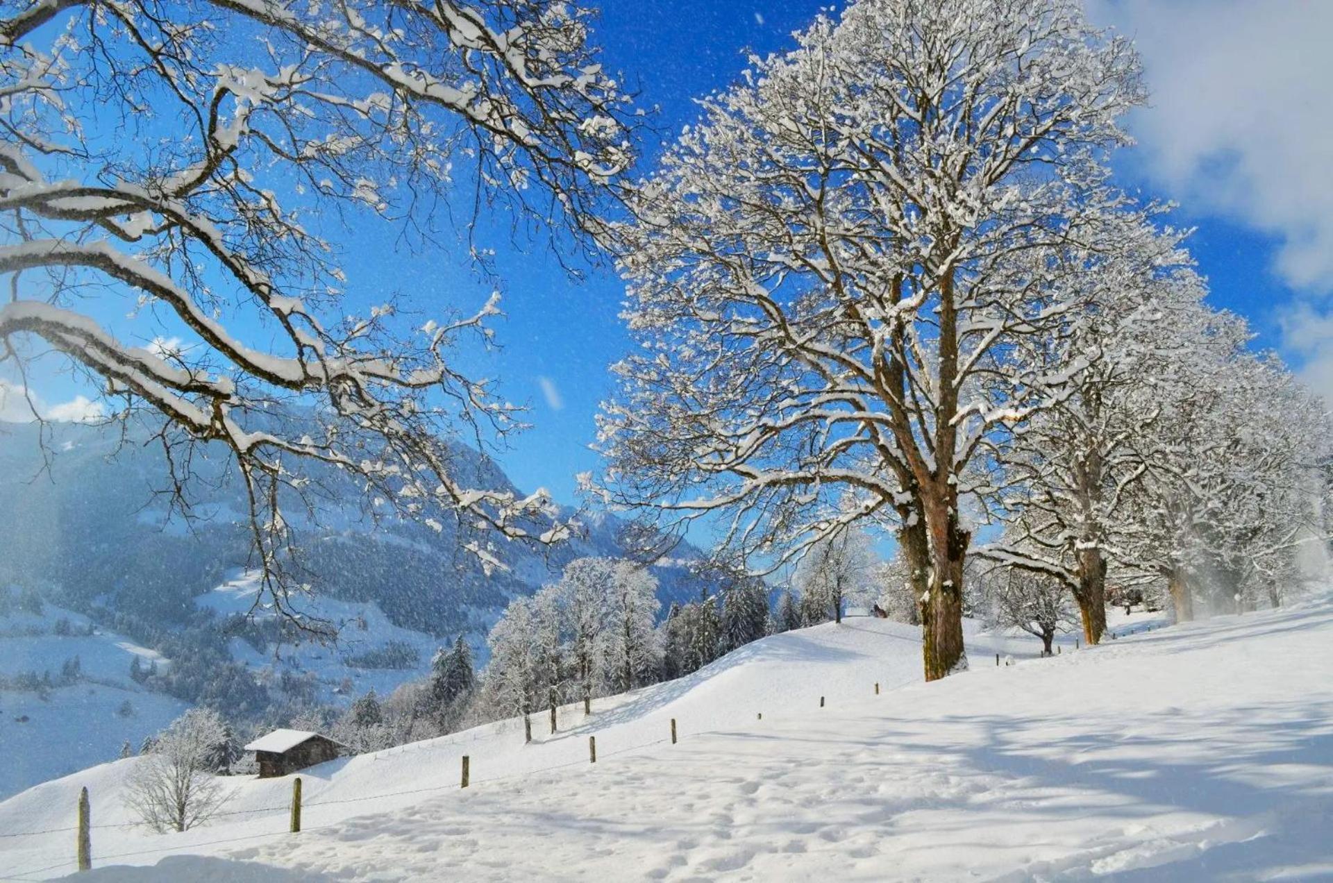 Swiss Mountain-Valley View Lodge Erlenbach im Simmental Esterno foto