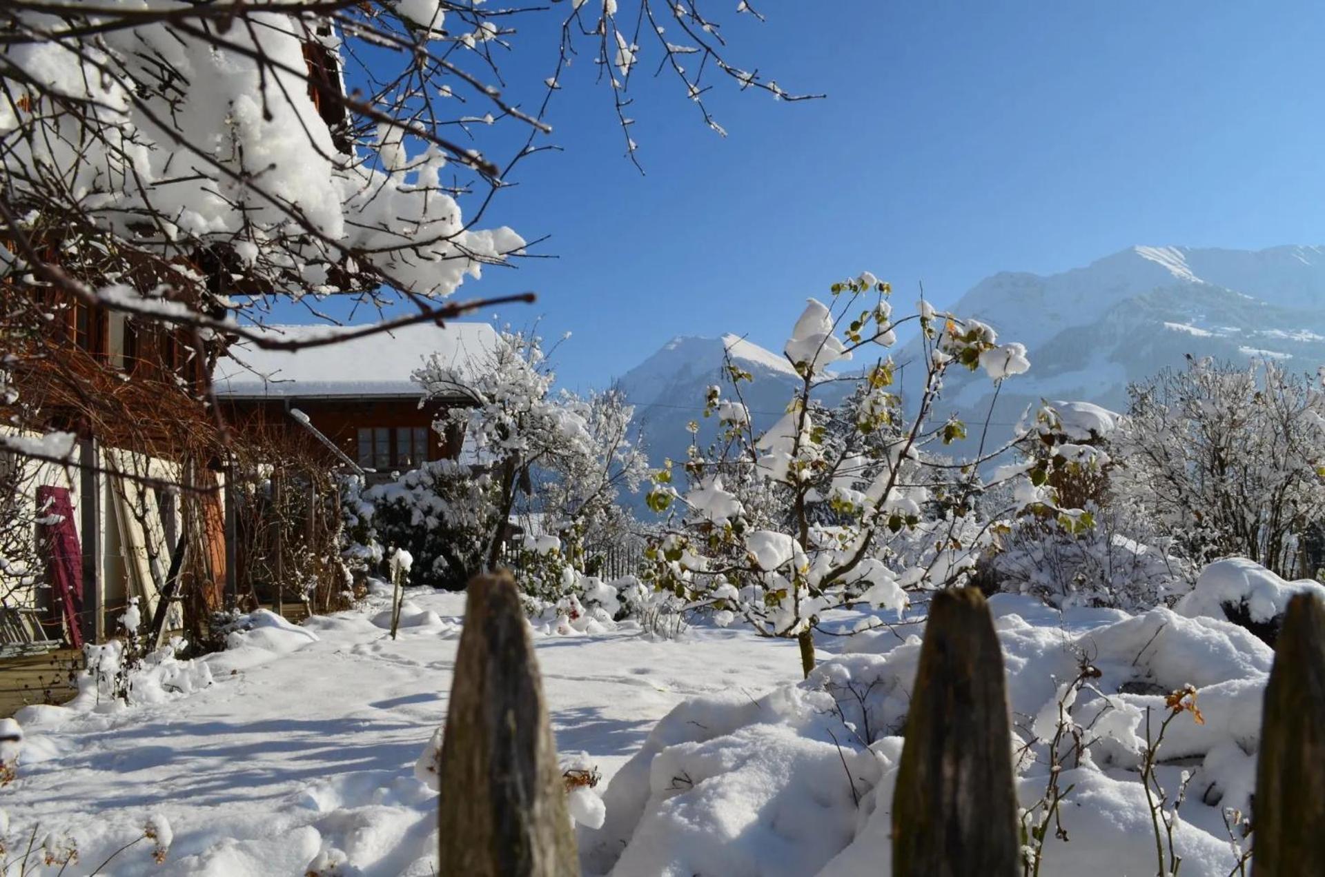 Swiss Mountain-Valley View Lodge Erlenbach im Simmental Esterno foto