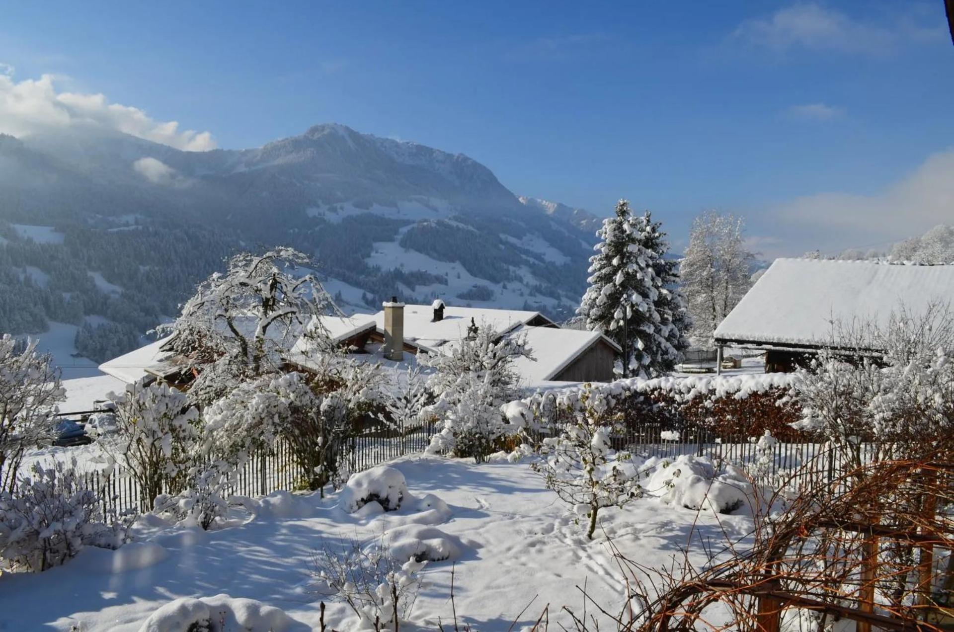 Swiss Mountain-Valley View Lodge Erlenbach im Simmental Esterno foto