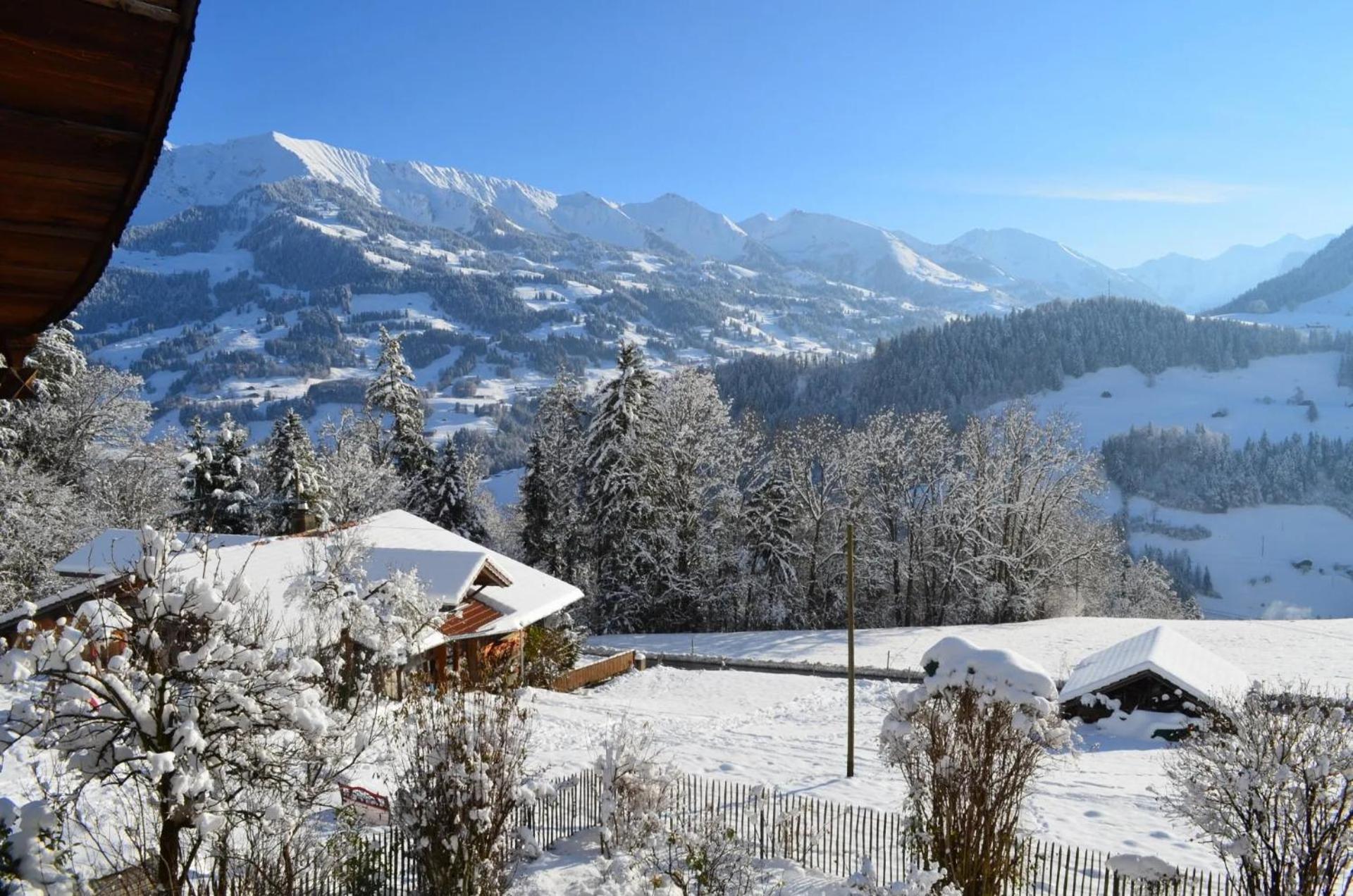 Swiss Mountain-Valley View Lodge Erlenbach im Simmental Esterno foto